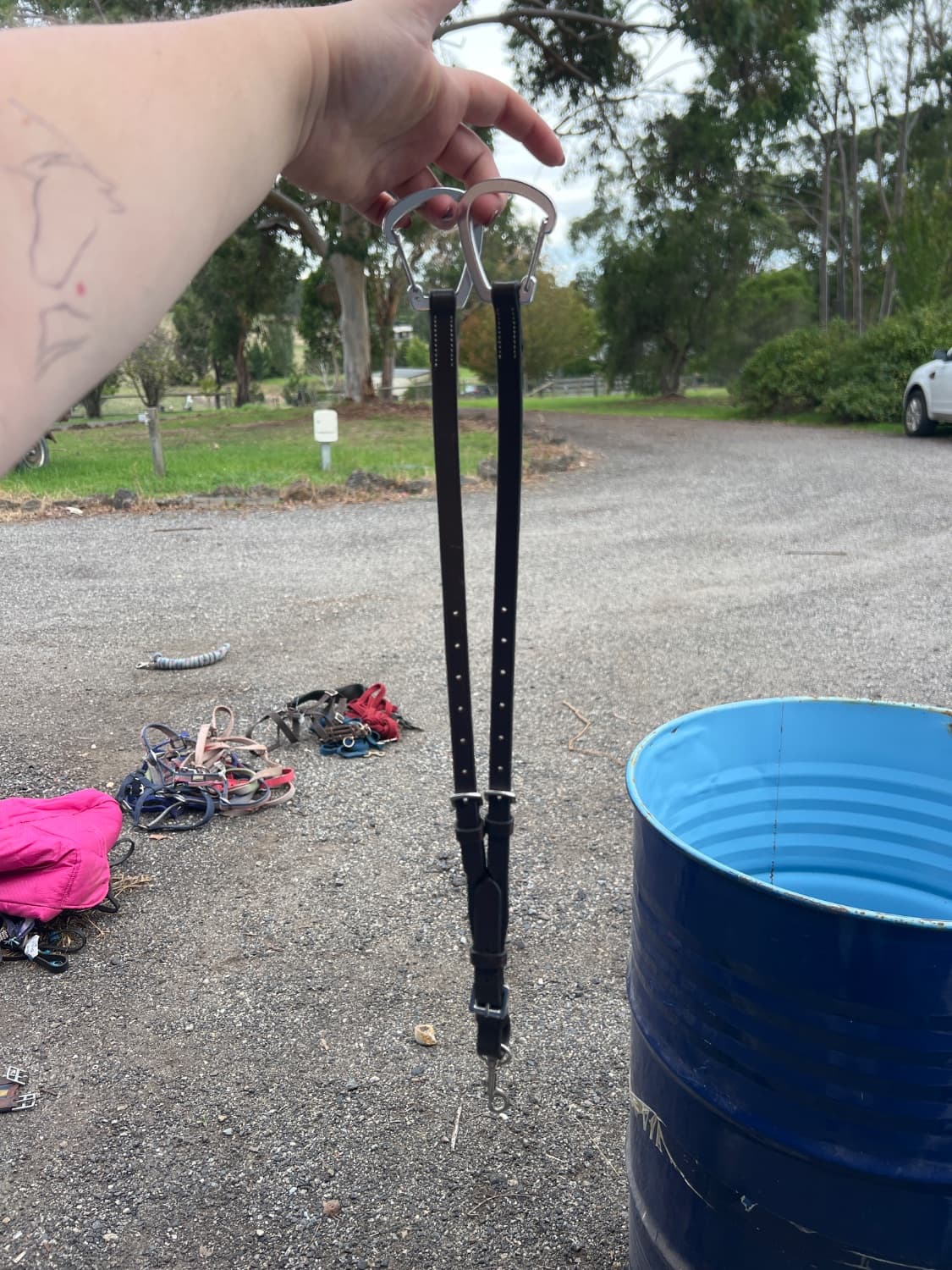 Brown Martingale Rings