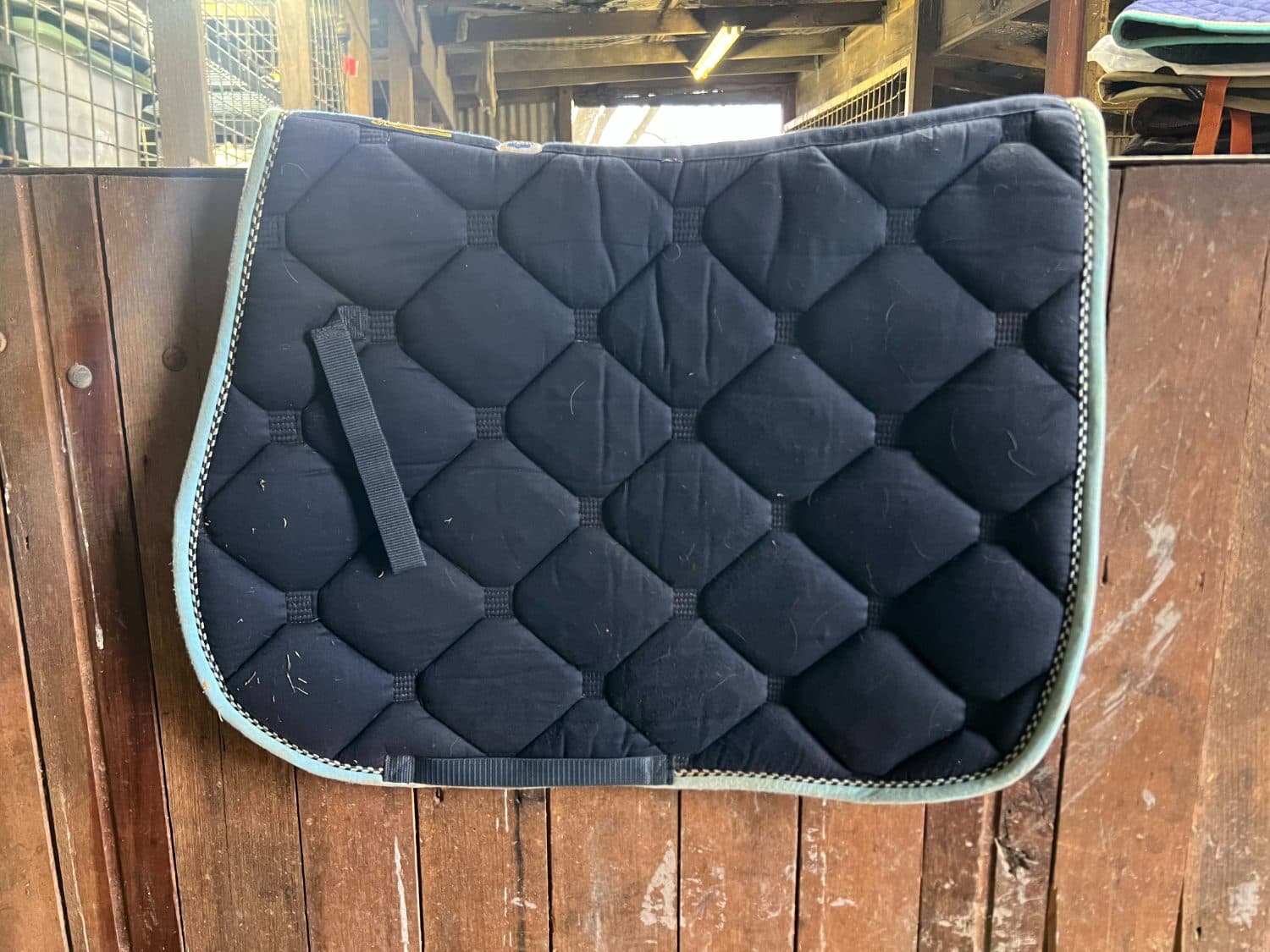 Roma Navy AP Saddle Pad *free postage