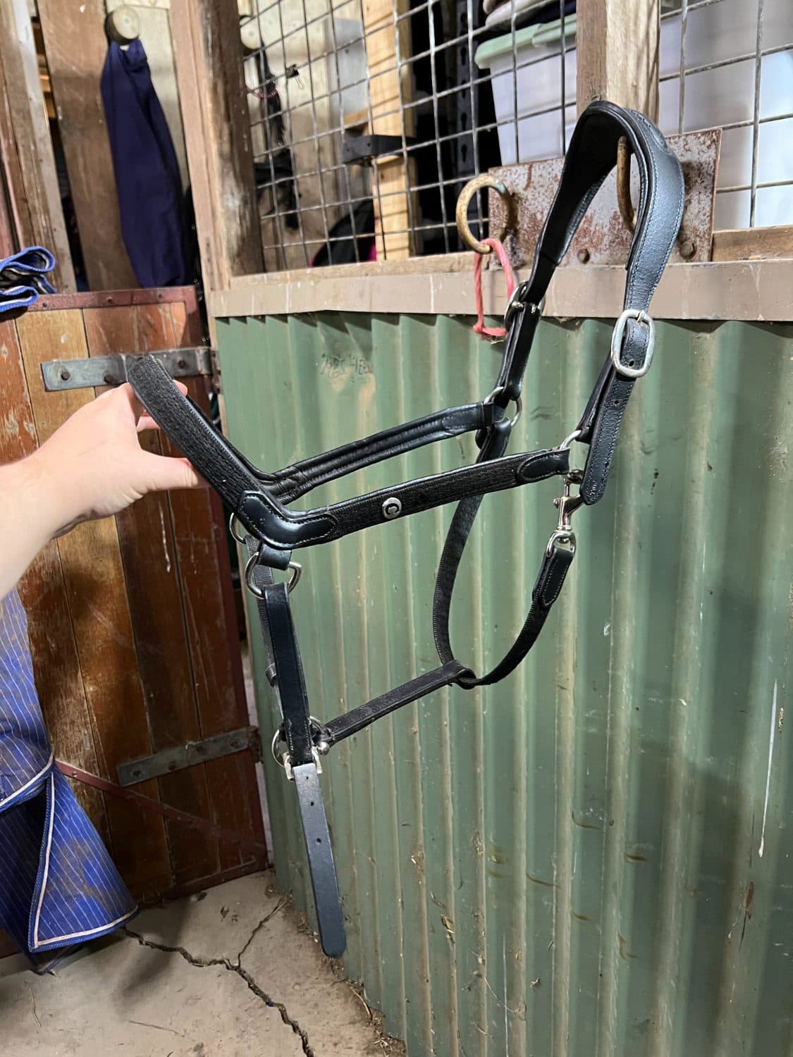 Collegiate Leather Breakaway halter