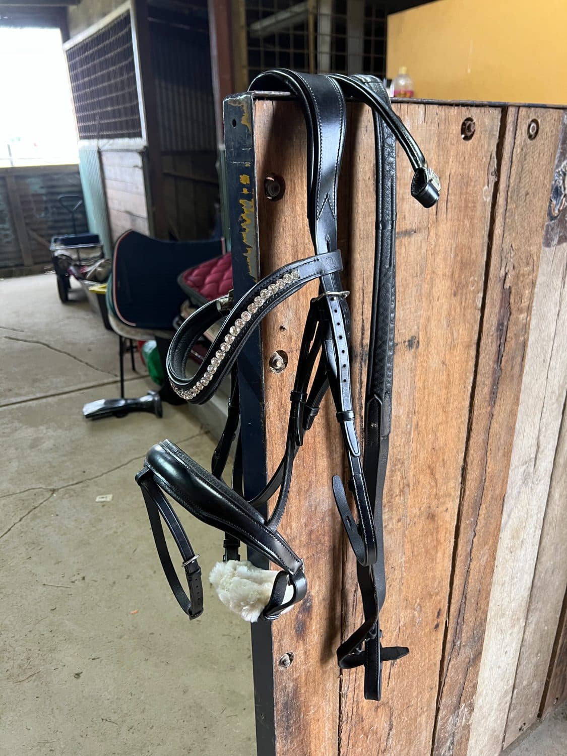 XF Arena Bridle with Opulent Equestrian Browband