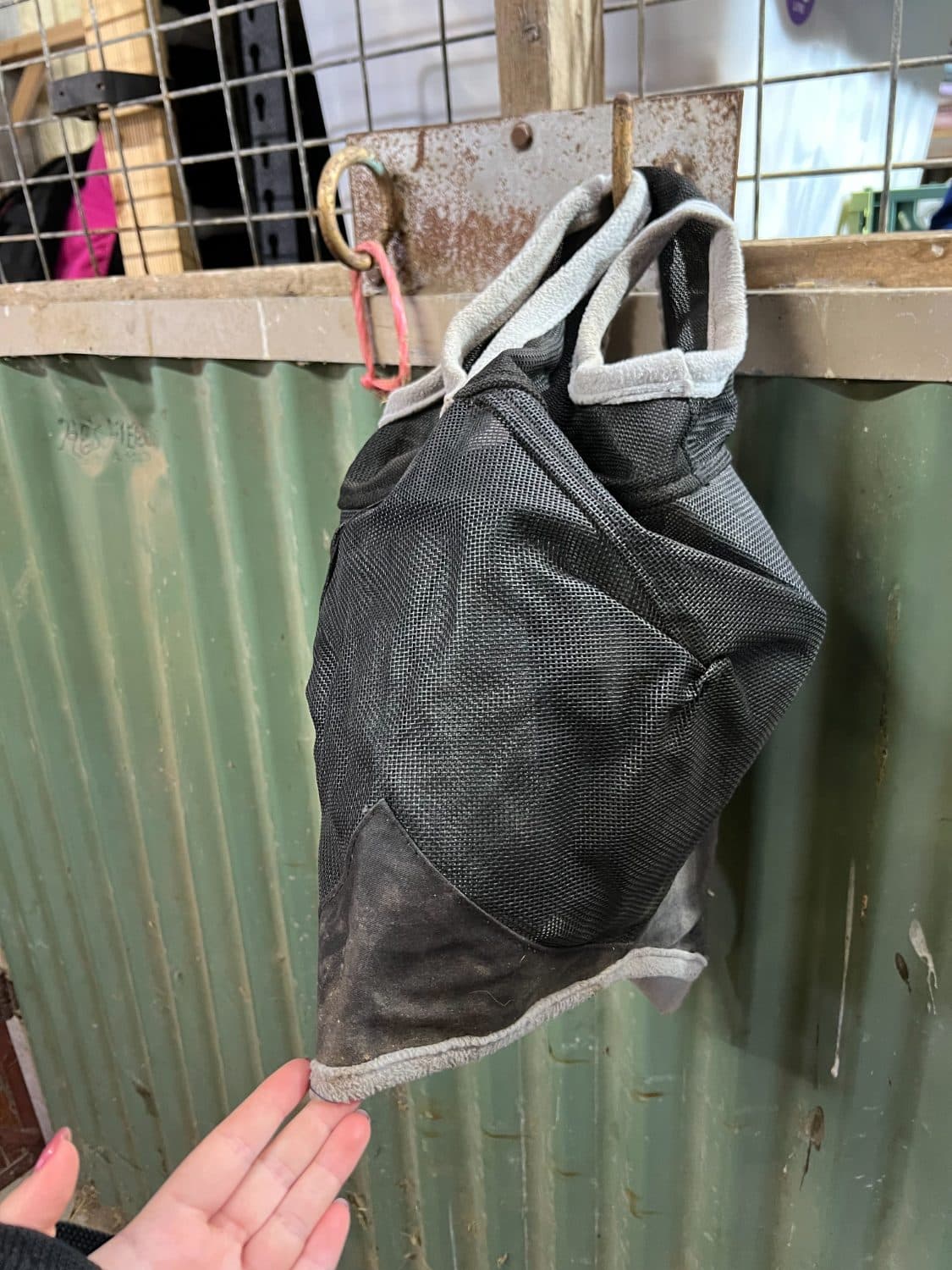 Full size Saxon Flyveil