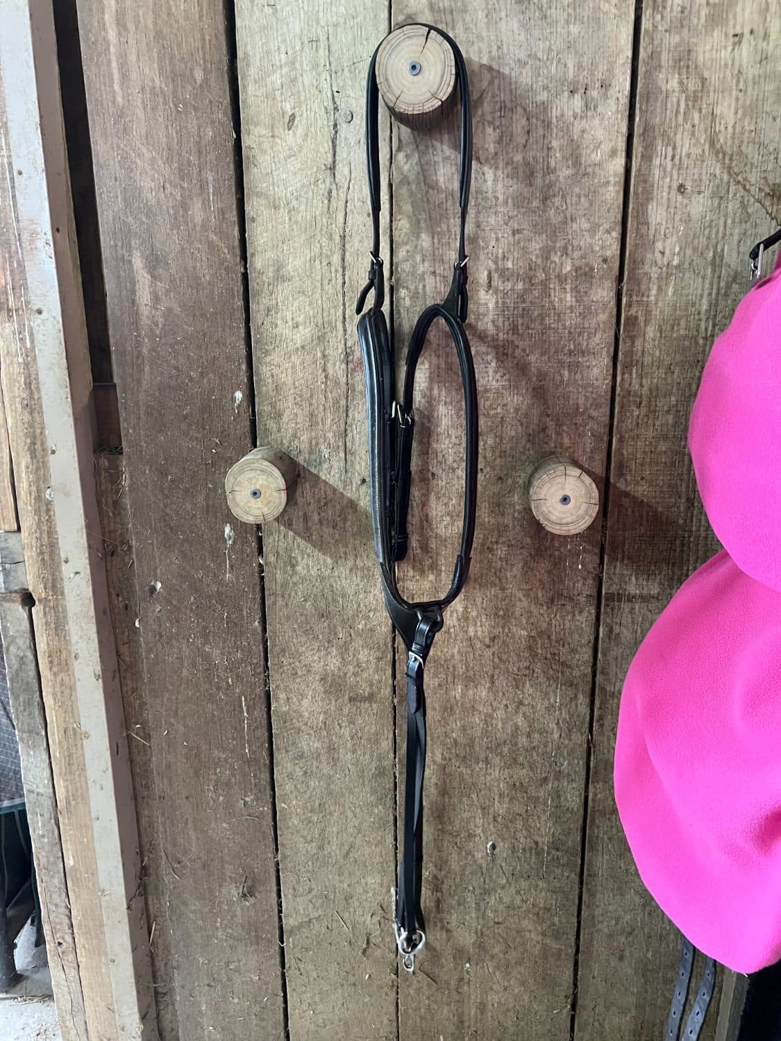 Cob Lumiere Anka Breastplate — image 1