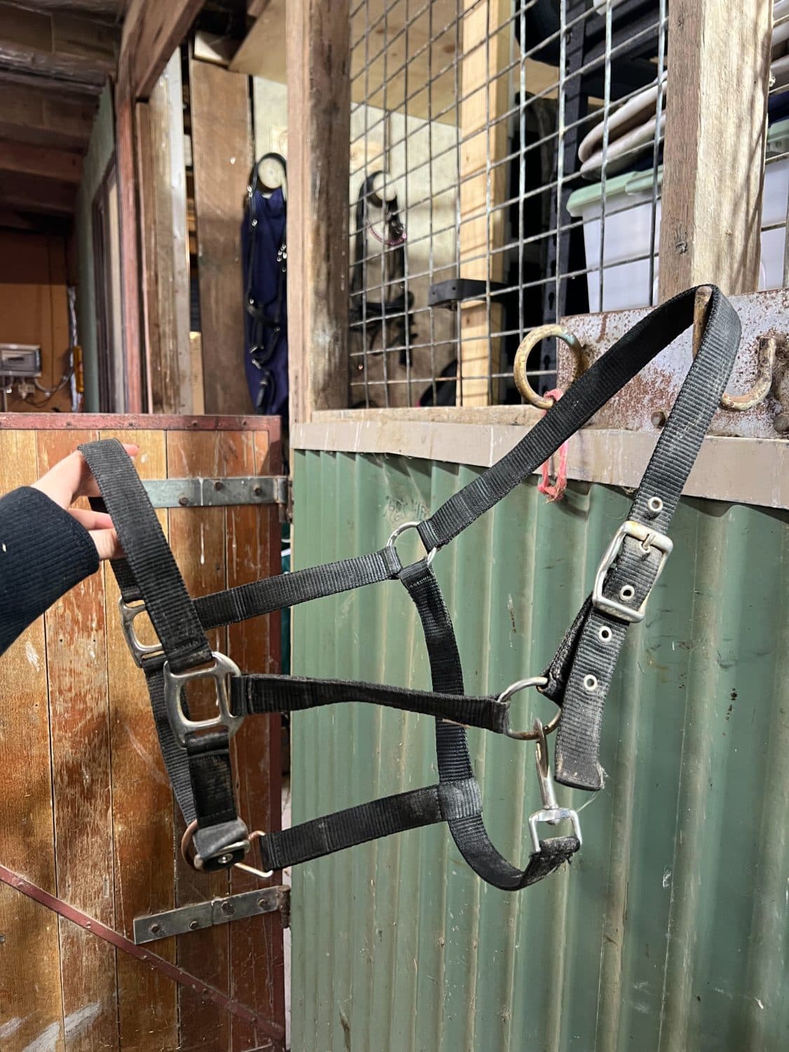 Full Nylon Breakaway Halter