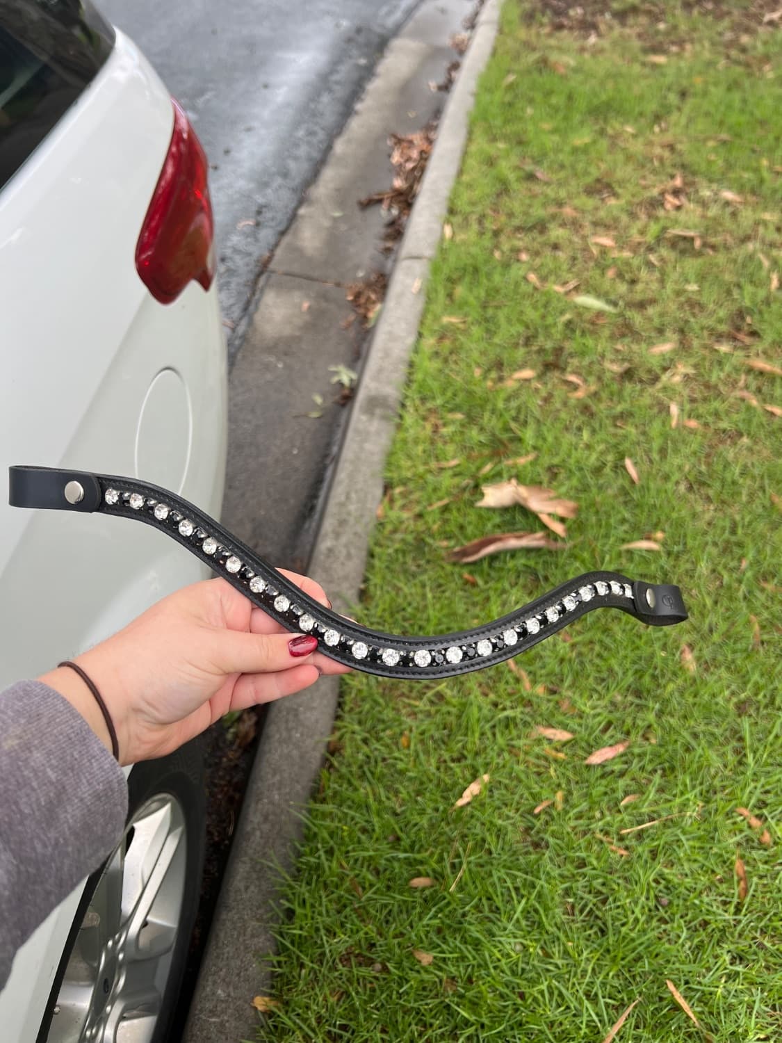 XF Opulent Equestrian Click-on browband