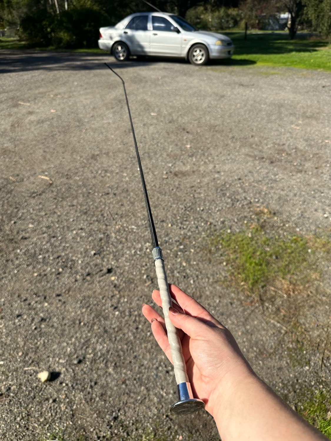 Dublin Marble Whip *pickup only — image 1