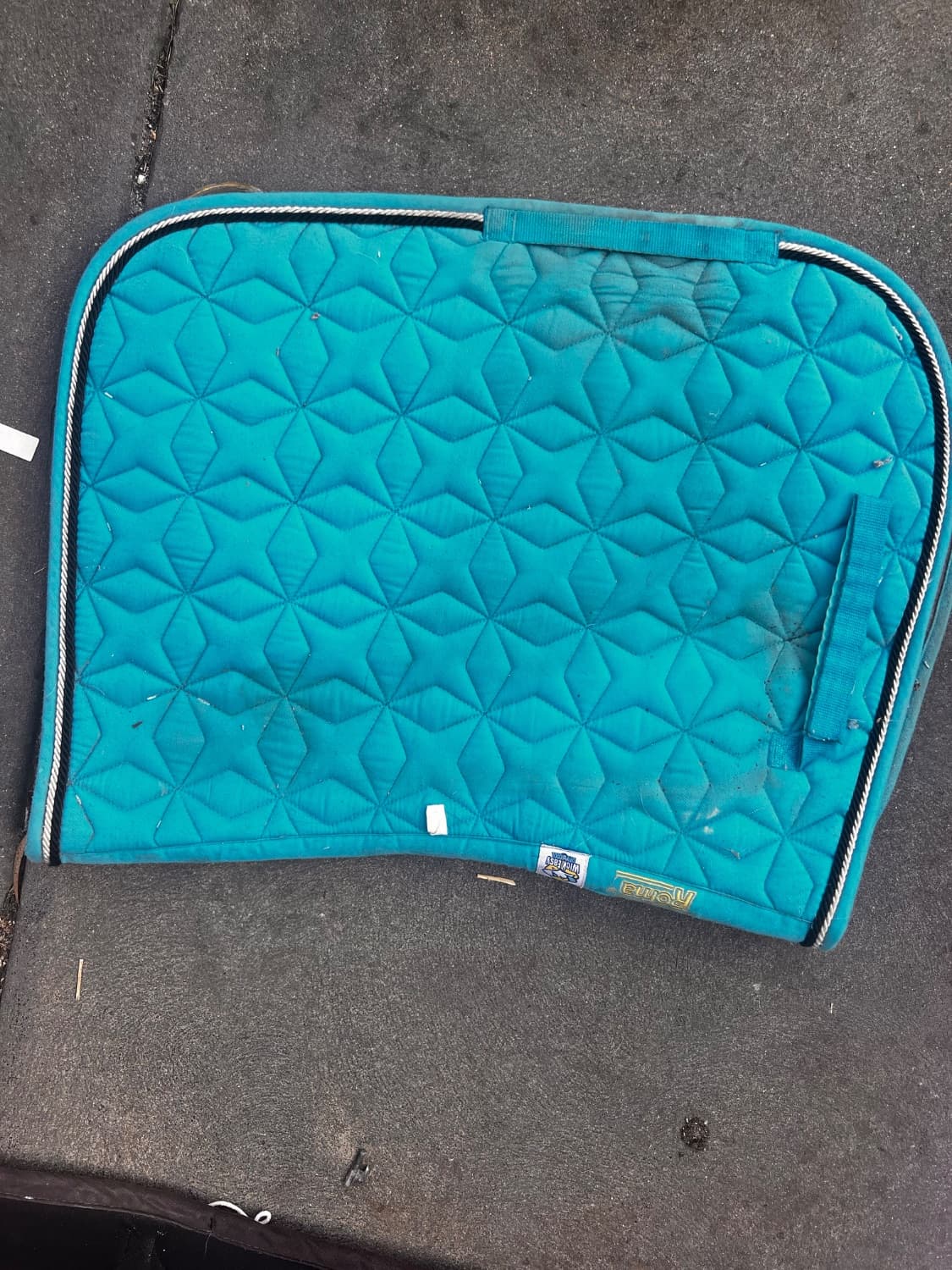 Light Blue Saddle Pad — image 1